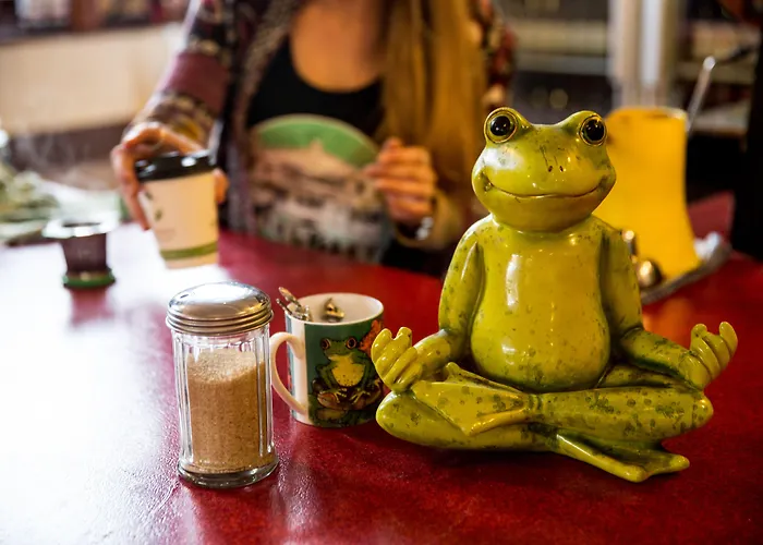 The Pickled Frog Hostel Hobart